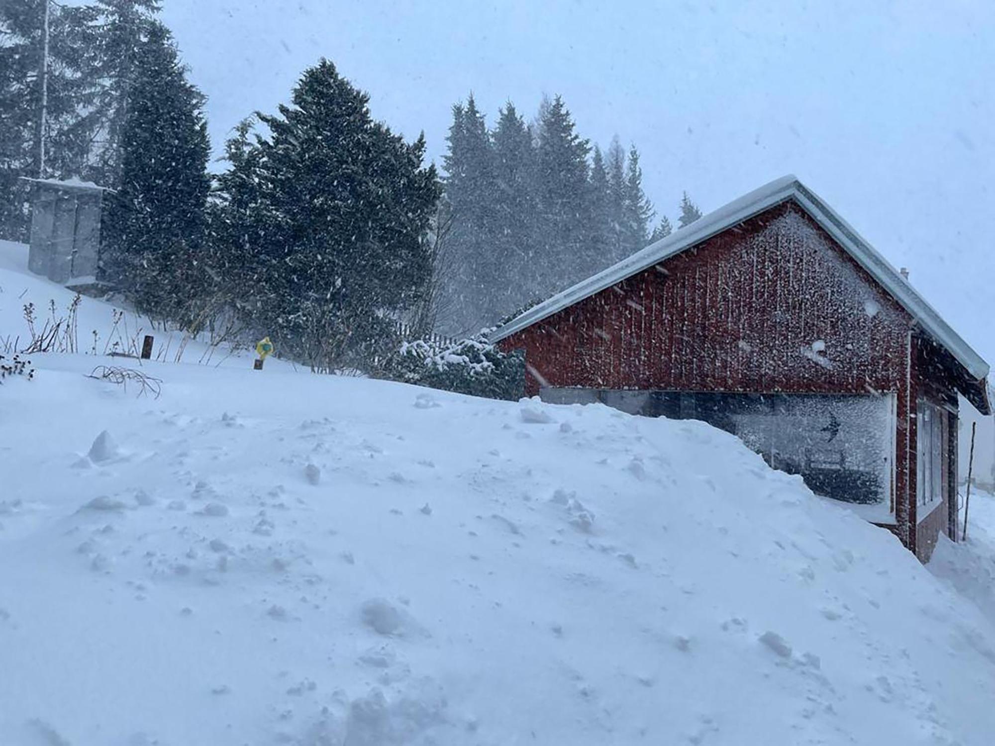 Wolf House Klinovec Hotel Loucna pod Klinovcem Luaran gambar